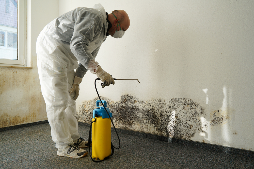 Industrial cleaners shop